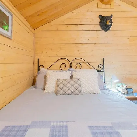 Studio Log Dry Cabin| Aurora Views! Fairbanks Exterior photo