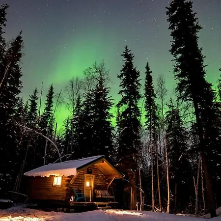 Studio Log Dry Cabin| Aurora Views! Fairbanks Exterior photo