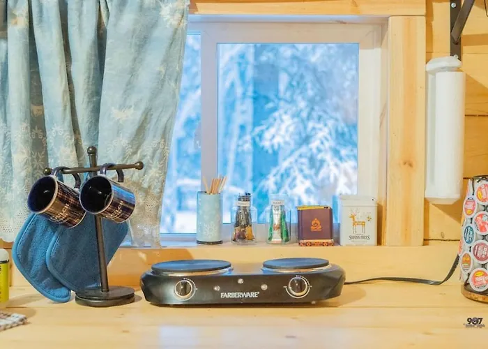 Studio Log Dry Cabin| Aurora Views!